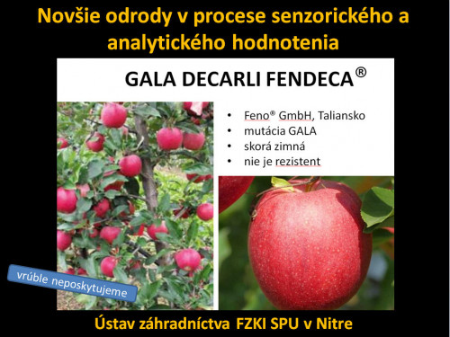 Gala Decarli Fendeca ILU