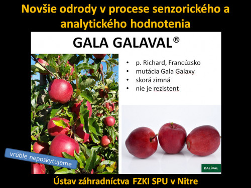 Gala Galaval ILU