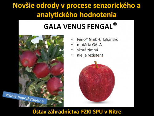 Gala Venus Fengal ILU